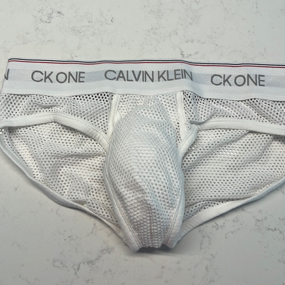 White Mesh Calvin Klein Briefs